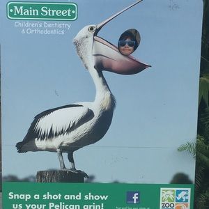 Meet your Posher, Monica